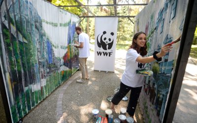 WWF na Međunarodni dan mladih predstavio umetničku instalaciju Budućnost kakvu želimo